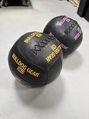 Bulldog gear wall balls and - wall,