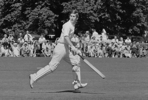 Old large cricket - photo, prince