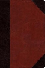 ESV Study Bible, Personal Size