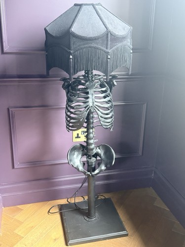 Gothic skeleton anatomy floor - gothic,