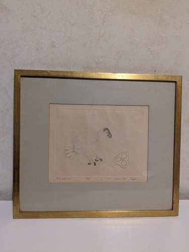 Eliyah pootoogook bird with - bird,