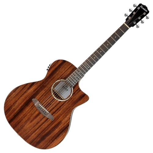 Ferndale ga3 acoustic - ferndale, ga3-ce