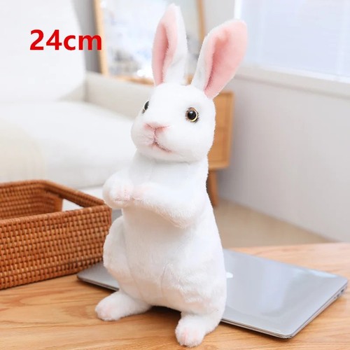 Cute realistic rabbit - cute,