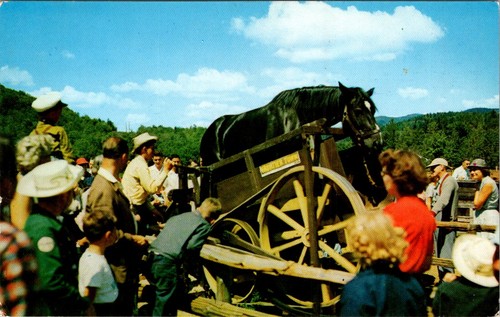 Frontier town horse power - frontier,