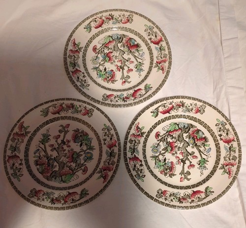 Set indian tree salad - set,