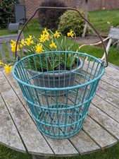 Vintage Eltex Egg Collecting