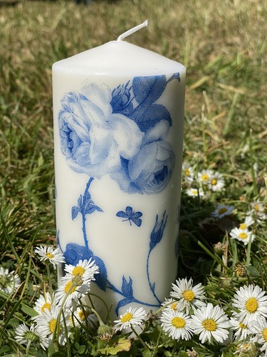 Rambling rose blue and white - rose,