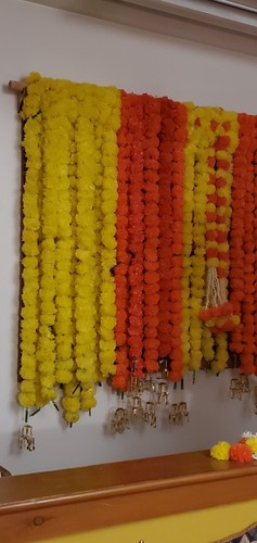 Marigold garlands - marigold,