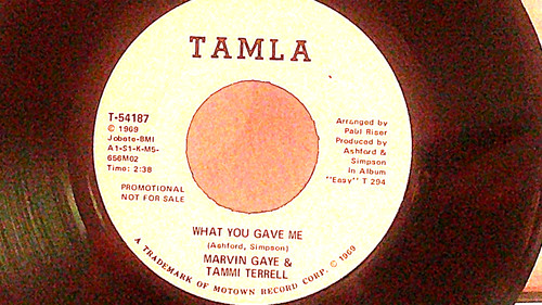 Marvin gaye tammi - marvin,