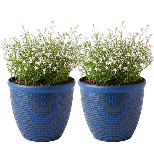 Round plastic garden plant - garden,