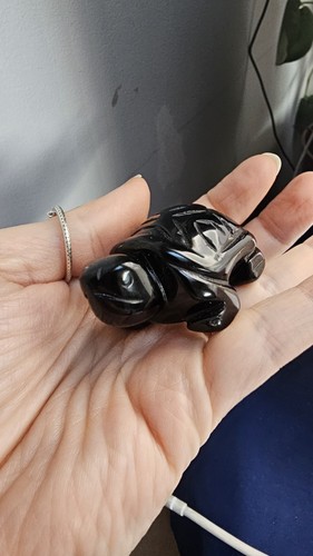 Black obsidian crystal - black, turtle