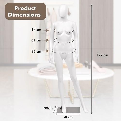 Full body mannequin - full, realistic