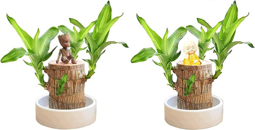 Mini brazil lucky - brazil, wood,magical