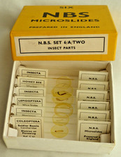 NBS  Prepared Microscope