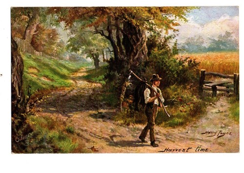 Rural farming harvest time - rural., farming.