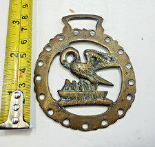 Swan With Chicks, Babies Horse