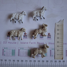 Vintage British Ram/sheep Miniatures 
