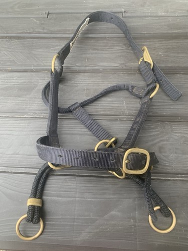Monty roberts dually halter - monty,