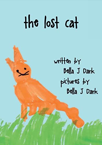 The lost cat - cat:, (snowy