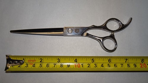 Professional hair cutting - hair,