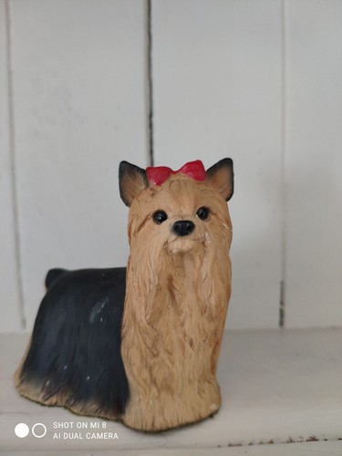 North light england yorkie dog - north,