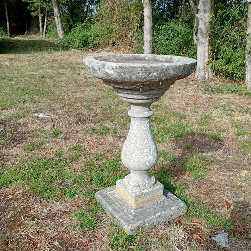 Weathered garden concrete - garden,