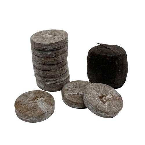 Jiffy 41mm peat propagation - jiffy,