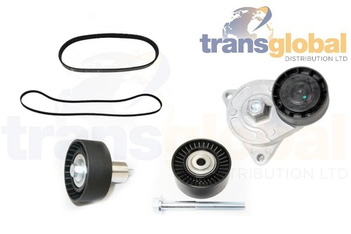 Drive belt pulley idler - oe, &