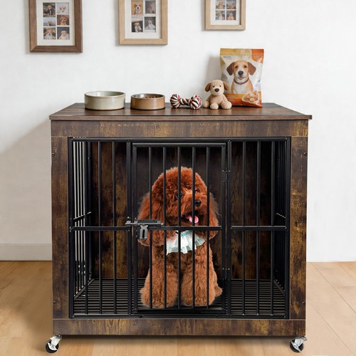 Industrial look pet - industrial‑look,