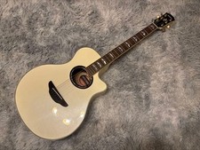 YAMAHA APX1000PW Acoustic