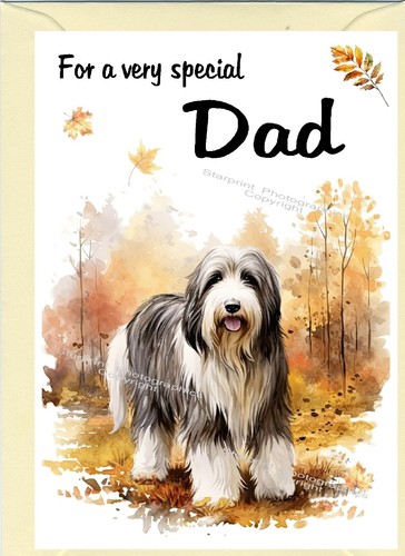 Bearded collie dog blank - collie,