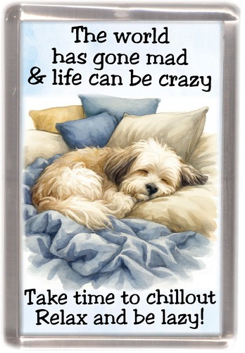 Havanese dog fridge magnet - havanese,