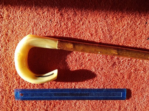 Rams horn walking stick - , or