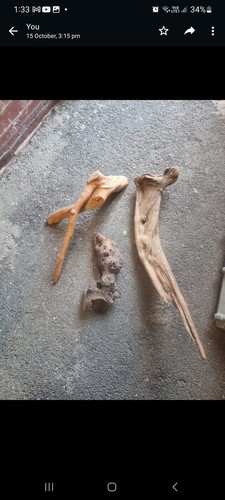 Large mopani bogwood - large,