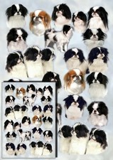 Japanese Chin Dog Wrapping Paper by Starprint - Semi gloss with matching card