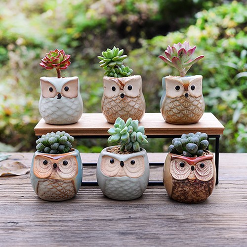 6pcs mini ceramic owl flower - 6pcs,