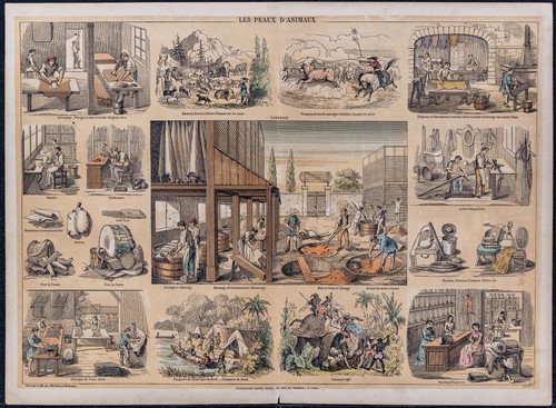 1880 animal skins - -, (tannery)