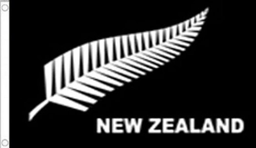 Silver fern flag 3 - flag, 3'
