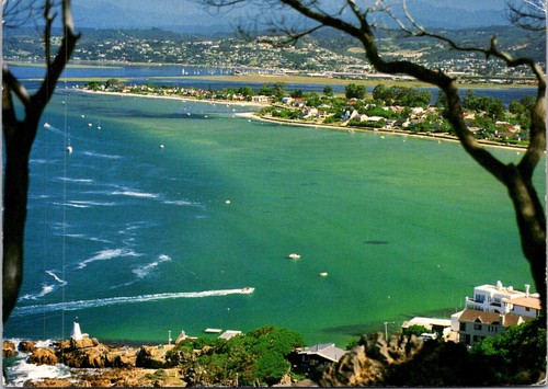 South africa - (503),