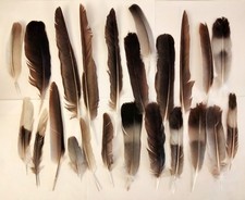 23 Mixed Natural Free Fallen Feathers - Black White Grey - Craft Hobby 