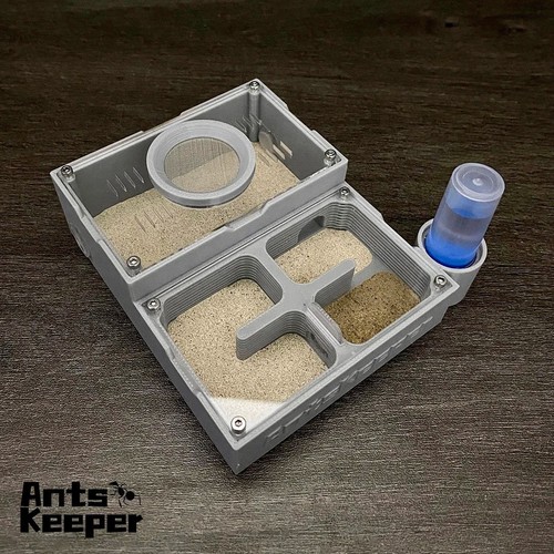 Ant farm flat independent - flat, room