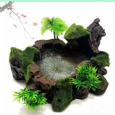 Reptile Feeding Bowl Plant Moss Decor Tortoise Vivarium Food Water Dish