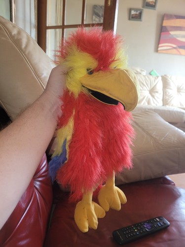 Parrot ventriloquist dummy - ventriloquist,