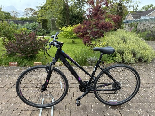Liv giant rove ladies - giant,