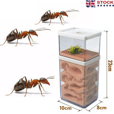 Ant house farm with - farm,