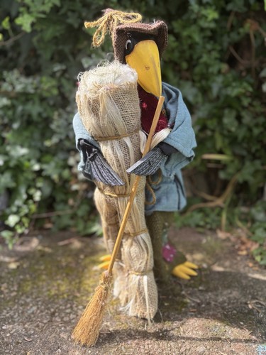 Crow scarecrow garden - crow,