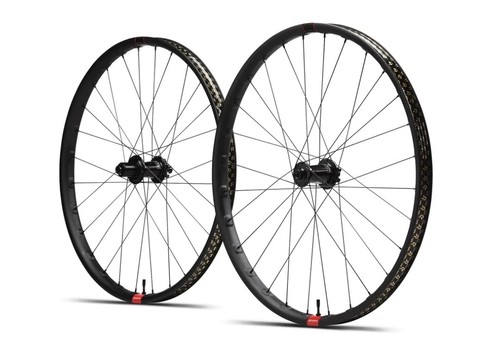 Santa cruz reserve emtb - cruz,