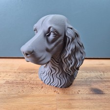 Irish Setter Bust