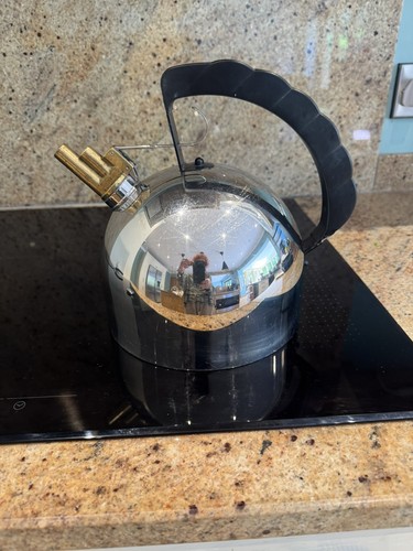 Alessi water kettle - alessi,