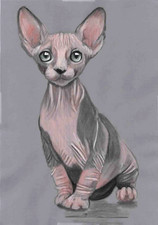 Original colour pencil Artwork